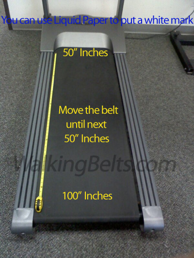 FREE Silicone O Details about   Treadmill Belts Worldwide Dynafit Powerfit 3003 Treadmill Belt 
